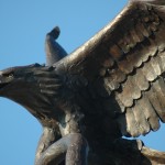 The eagle from the side