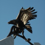 Another view of the eagle from below